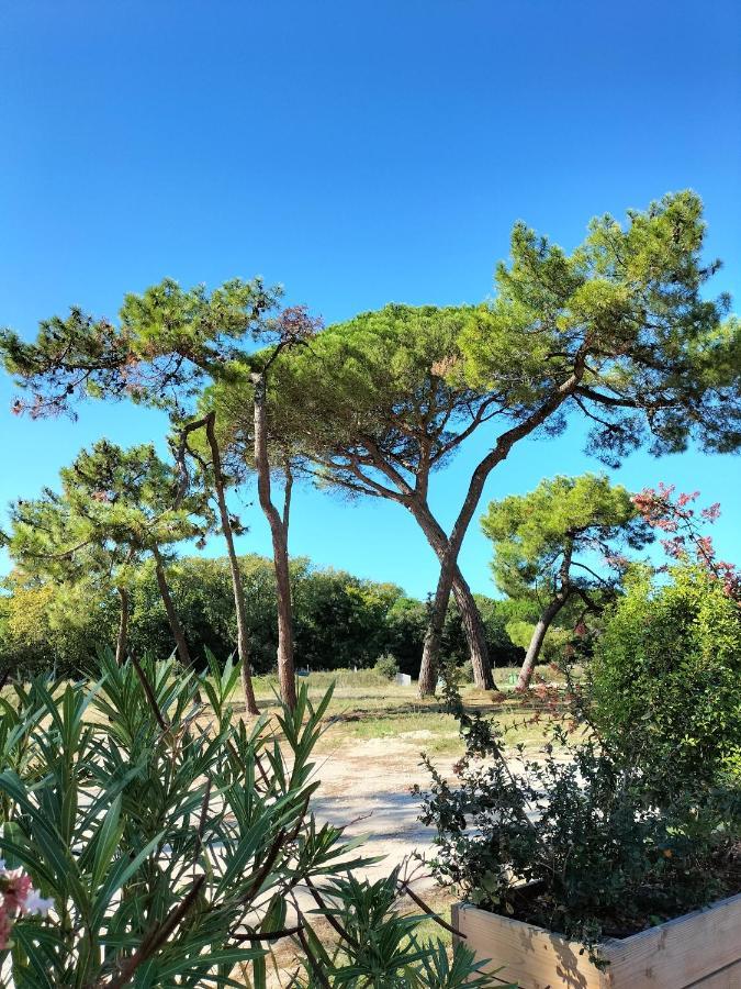 Les Salines Boyardville - Appart'Hotel サン・ピエール・ドレロン エクステリア 写真